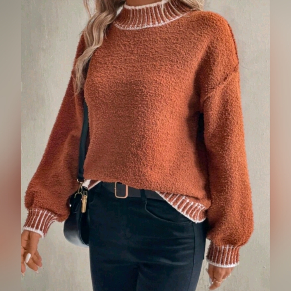 New Contrast Trim Textured Knit Mock Neck Sweater Top Rusty Orange Brown White